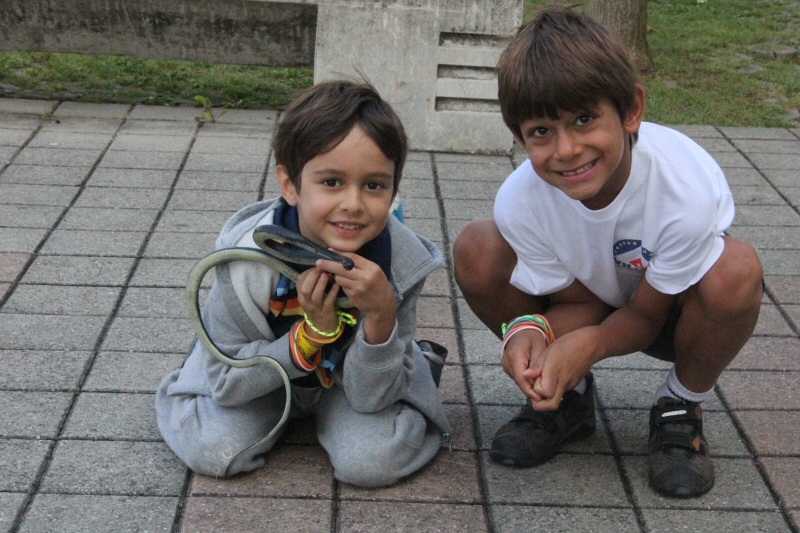 Village Camps International Summer Camp VDC Geneva 2016-08-12 https://www.villagecamps.com/journals_admin/images/332-34-Picture 007.jpg